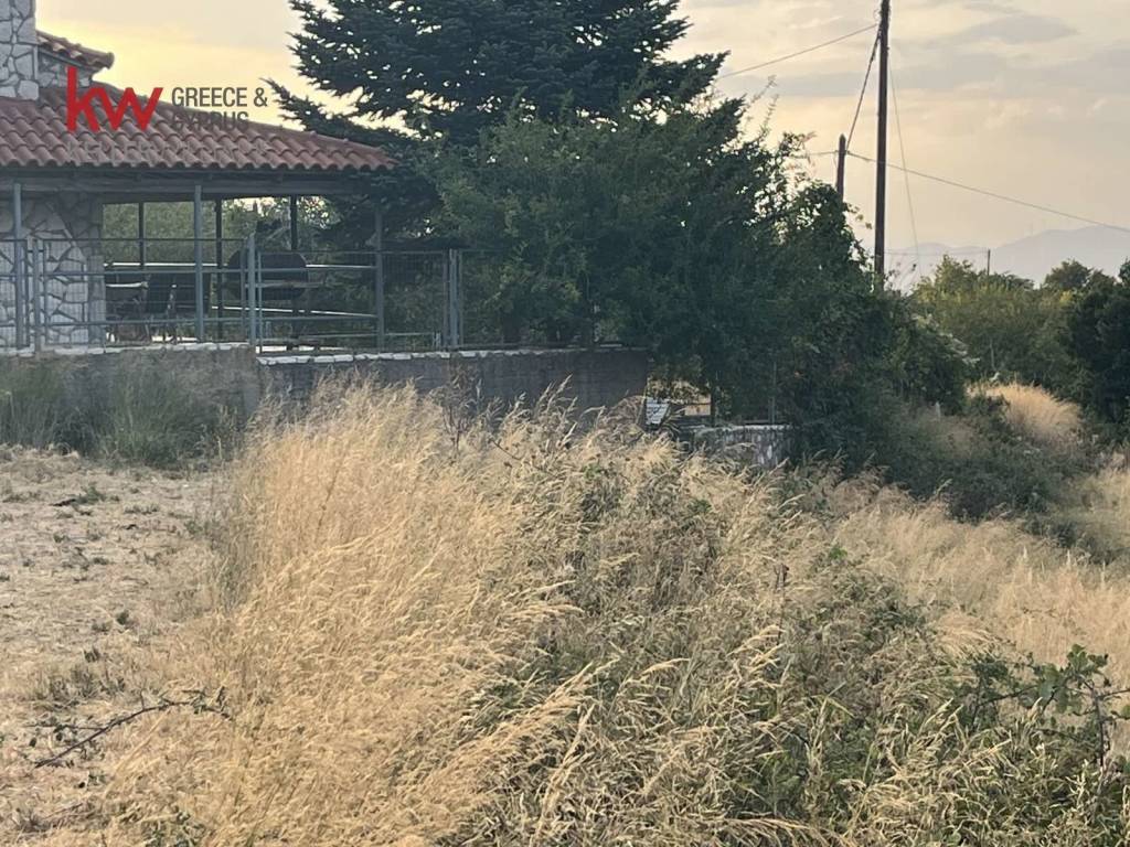 Εξωτερικοι χώροι