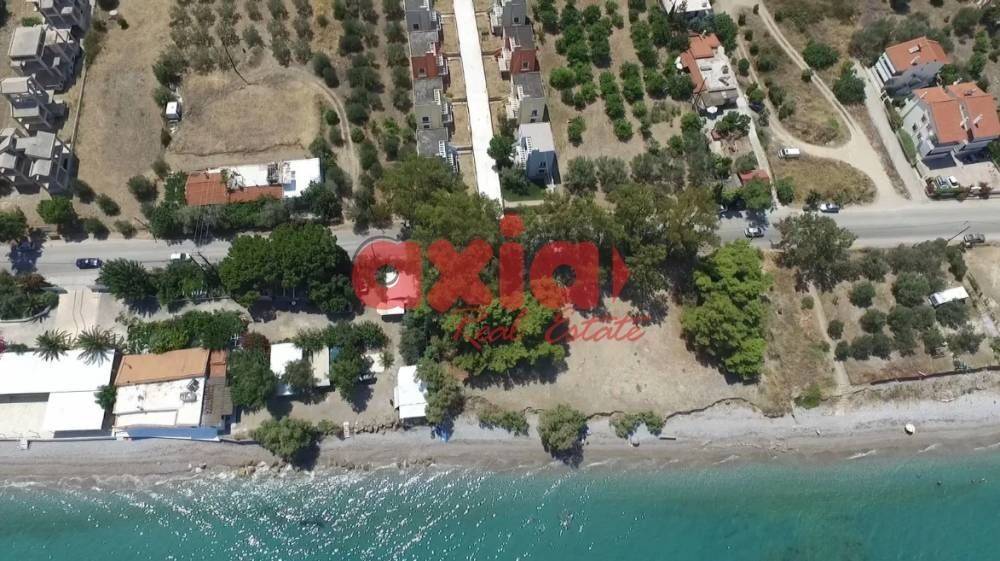 Ξυλόκαστρο, Μελίσσι: Πωλείται μοναδικό