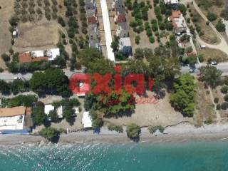 Ξυλόκαστρο, Μελίσσι: Πωλείται μοναδικό