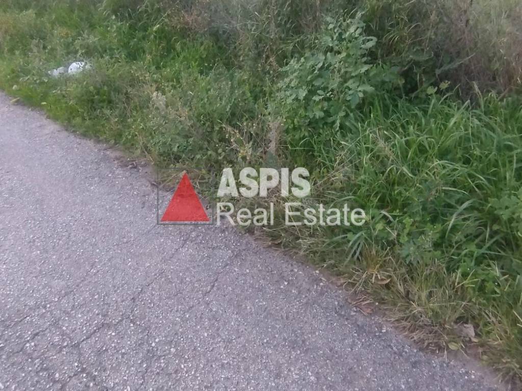 Εξωτερικοι χώροι