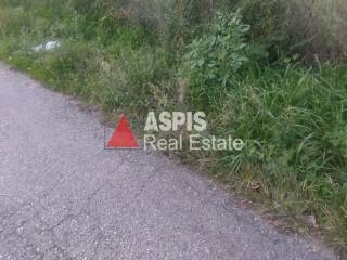 Εξωτερικοι χώροι