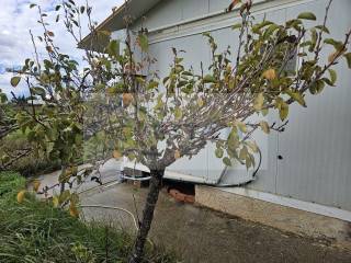 Εξωτερικος χώρος