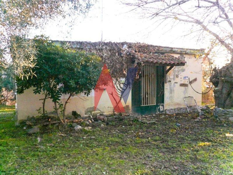 Εξωτερικός χώρος