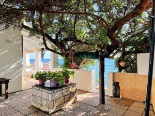 Villa - Grekodom 51068|753405