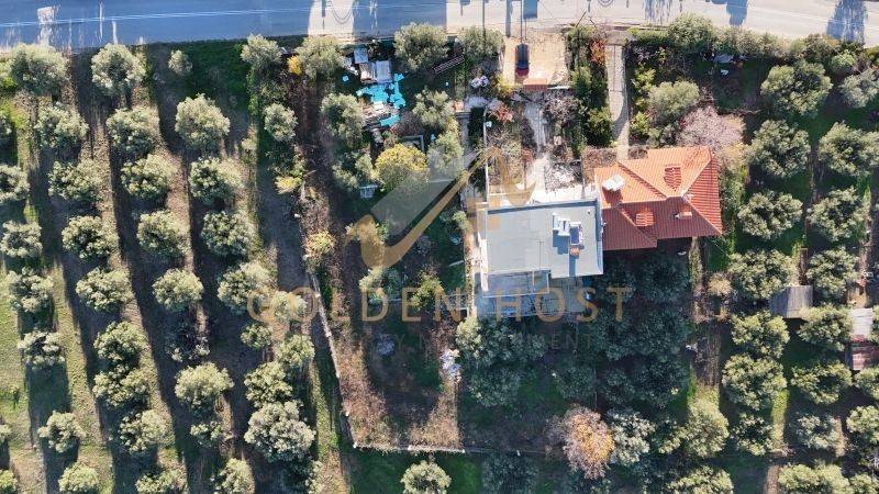 Ύπαρξη ανθρώπου