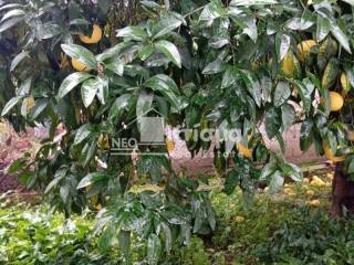 Ύπαρξη ανθρώπου