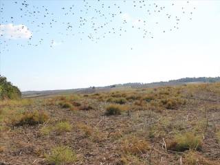 Plot - Grekodom 59728|871794