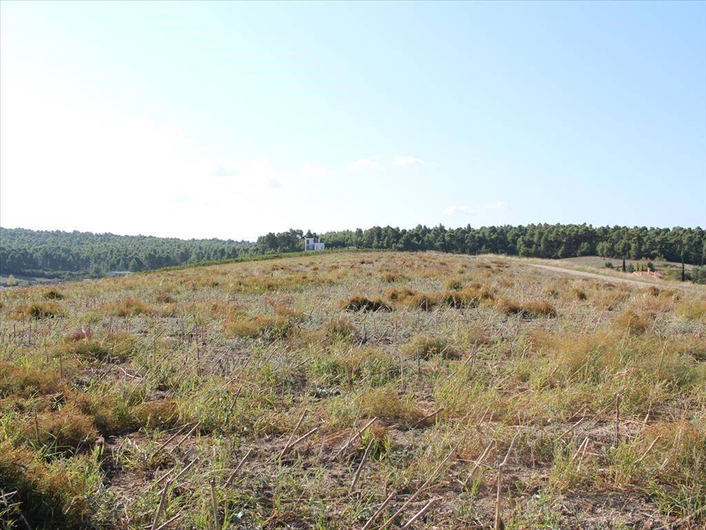 Plot - Grekodom 59728|871795