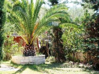 Detached - Grekodom 59737|871900