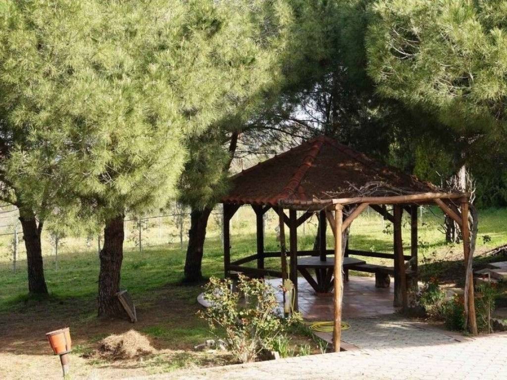 Villa - Grekodom 59788|873753