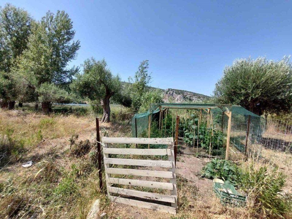 Detached - Grekodom 59846|877480