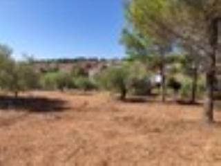 Plot - Grekodom 59908|878470