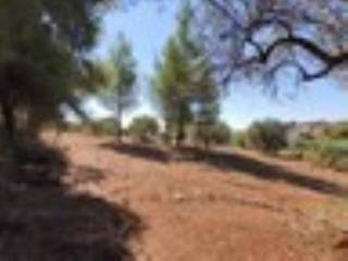 Plot - Grekodom 59908|878465