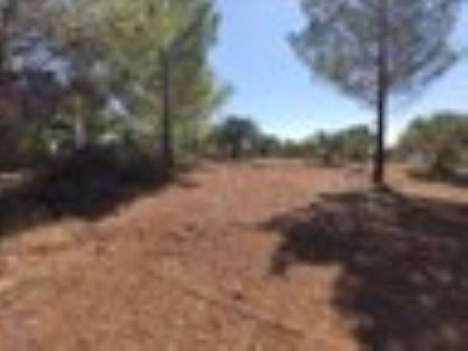 Plot - Grekodom 59908|878467