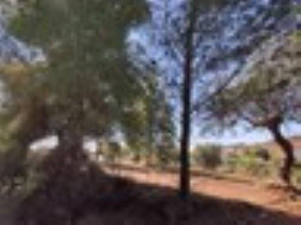 Plot - Grekodom 59908|878471