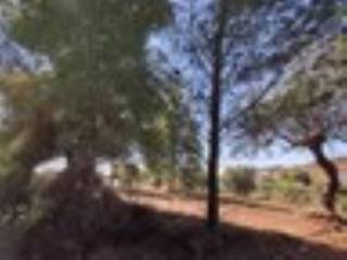 Plot - Grekodom 59908|878471