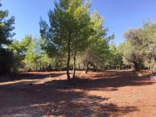 Plot - Grekodom 59910|878677