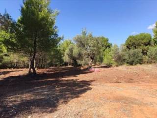 Plot - Grekodom 59910|878679