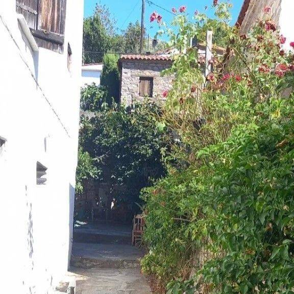 Maisonette - Grekodom 59969|879821