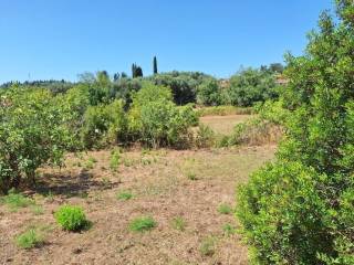 Plot - Grekodom 60025|880916