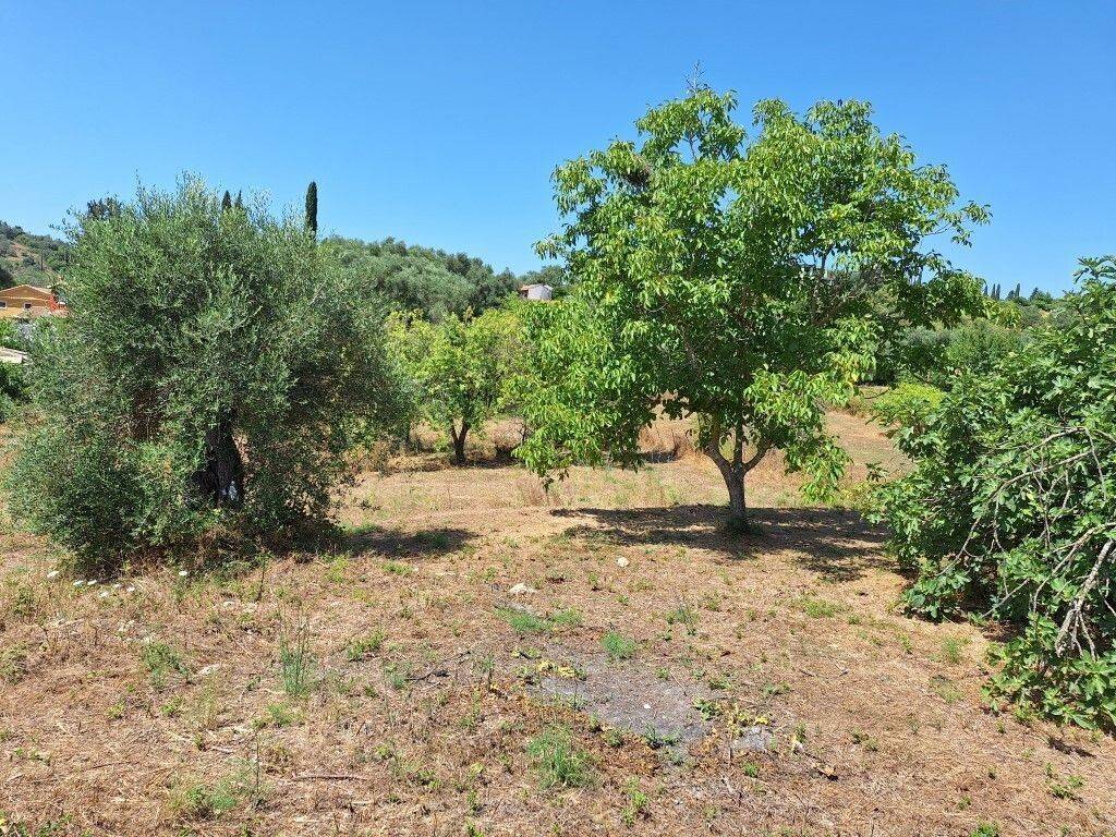 Plot - Grekodom 60025|880918