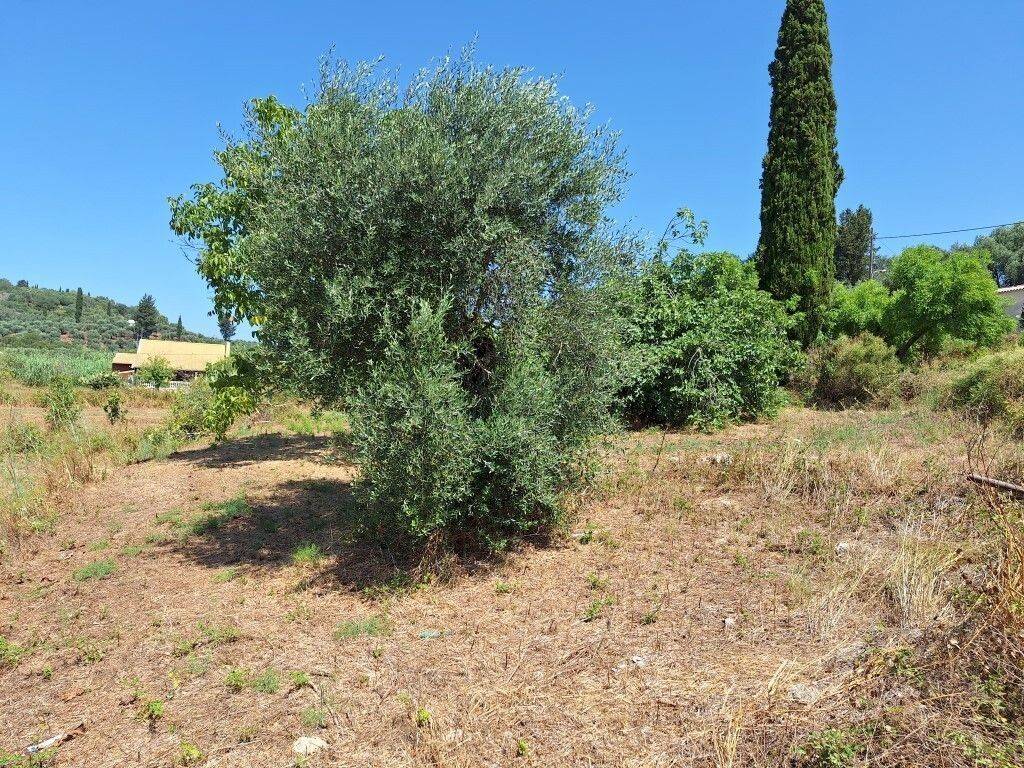 Plot - Grekodom 60025|880920