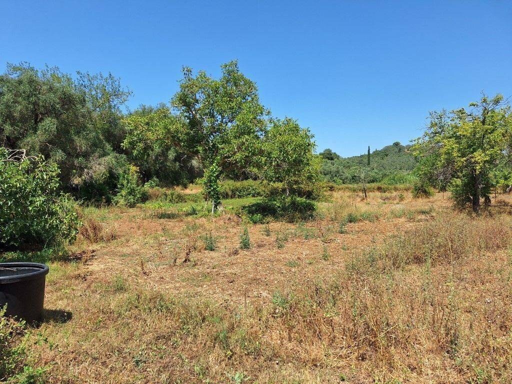 Plot - Grekodom 60025|880932