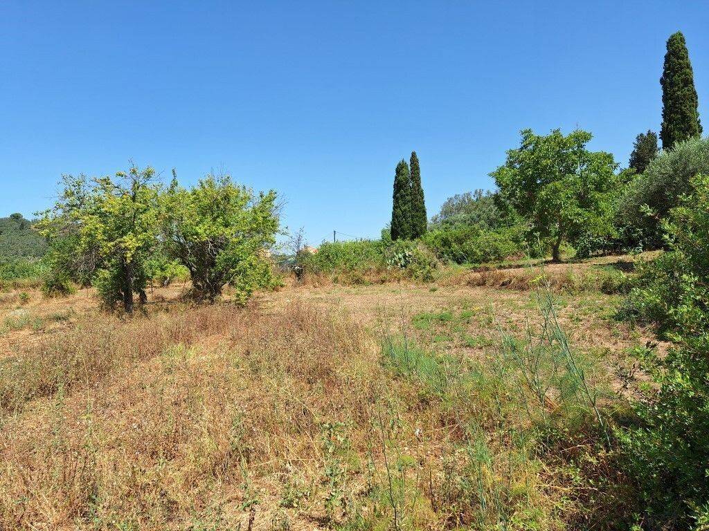 Plot - Grekodom 60025|880926