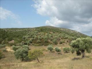 Plot - Grekodom 60043|881436