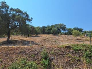 Plot - Grekodom 60117|883539