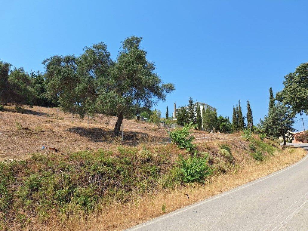 Plot - Grekodom 60113|883496