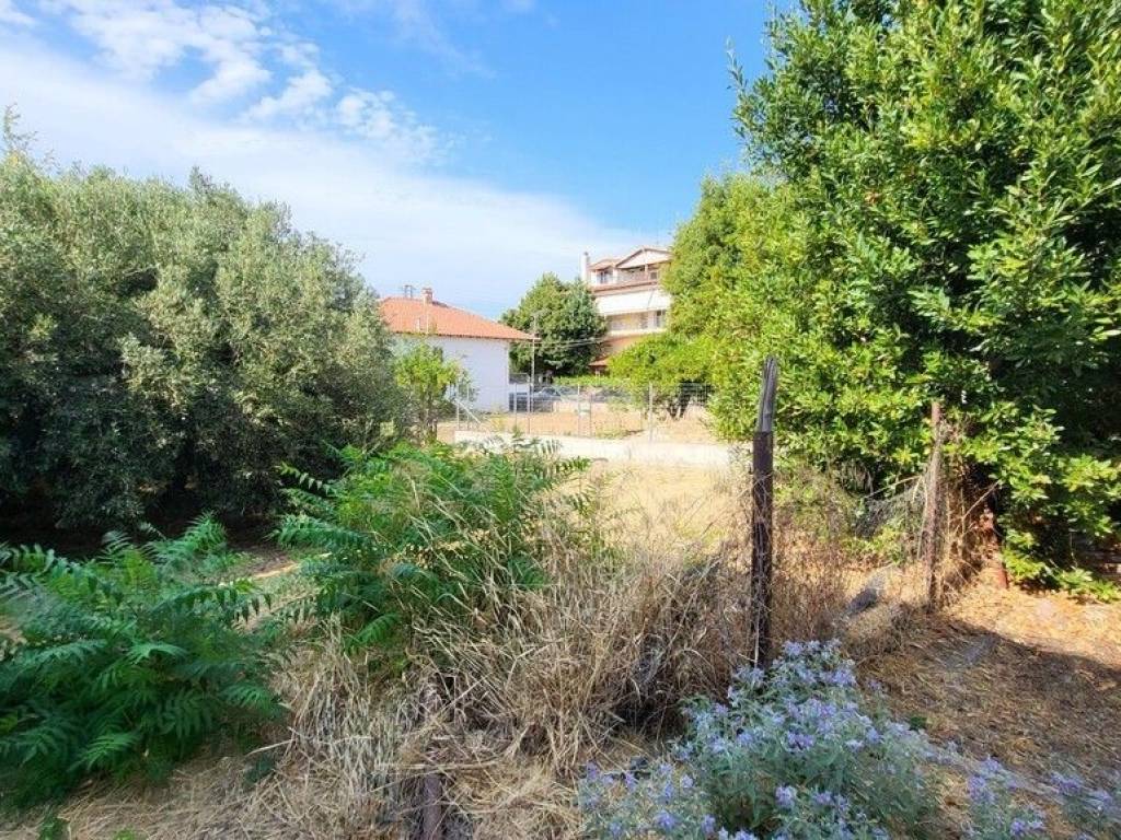 Detached - Grekodom 60210|885744