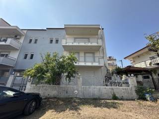 Detached - Grekodom 60209|885729