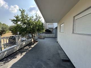 Detached - Grekodom 60209|885698