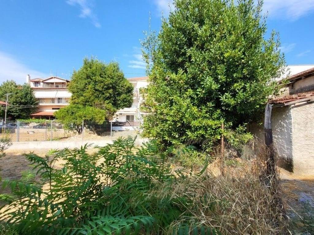 Plot - Grekodom 60201|885738