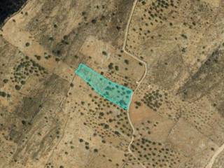 Plot - Grekodom 60247|888883