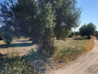 Plot - Grekodom 60326|891559