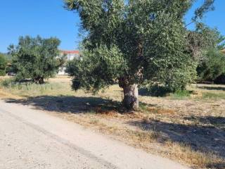 Plot - Grekodom 60326|891561