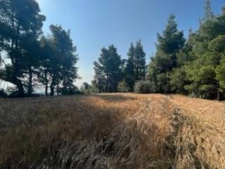 Plot - Grekodom 60383|892742