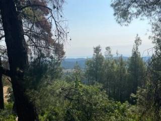 Plot - Grekodom 60383|892738