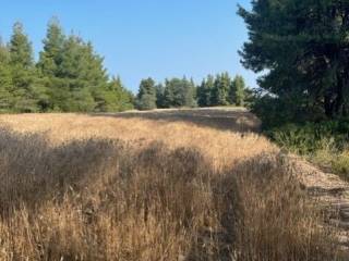 Plot - Grekodom 60383|892739