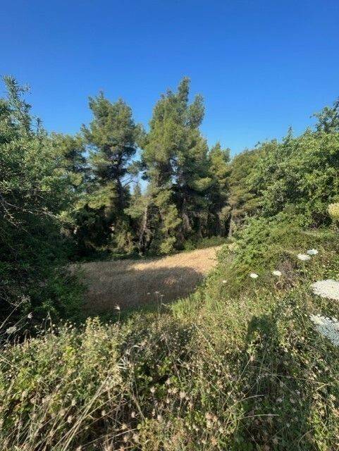 Plot - Grekodom 60383|892741