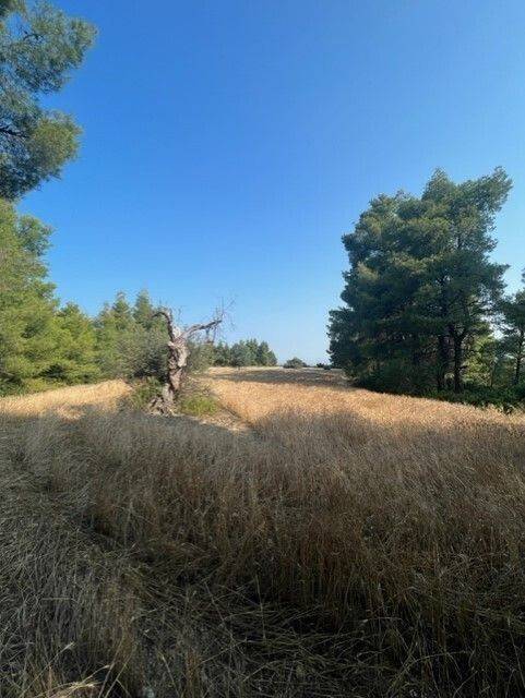 Plot - Grekodom 60383|892743