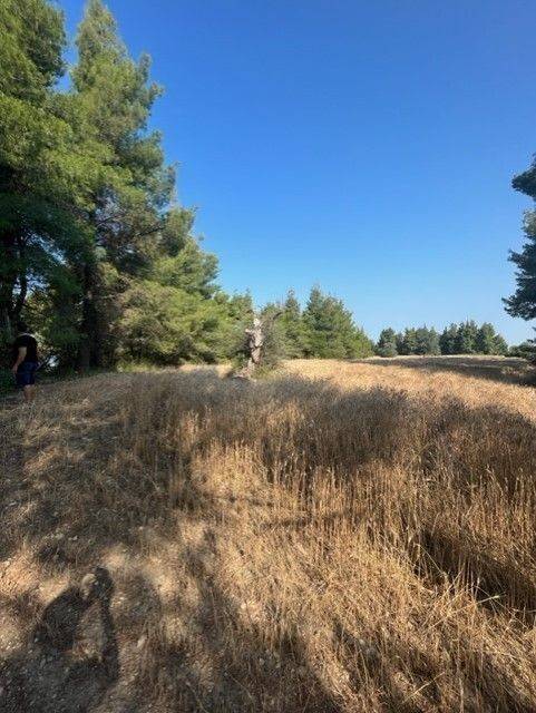 Plot - Grekodom 60383|892745