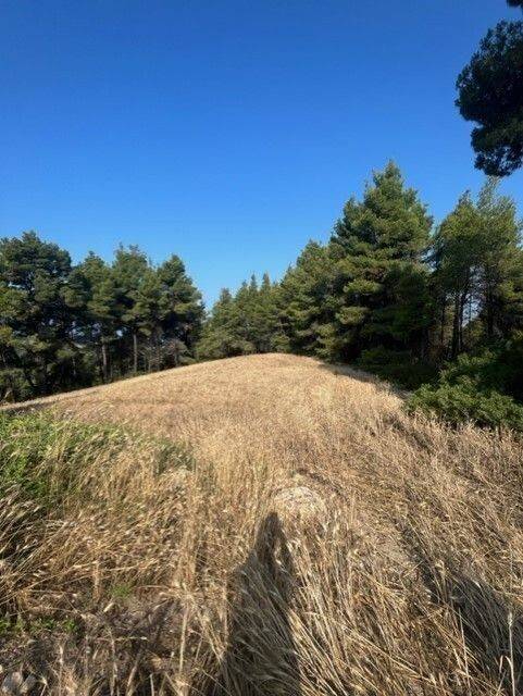 Plot - Grekodom 60383|892747