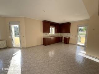 Forumland Real Estate, Salokoyzina