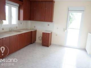 Forumland Real Estate, Salokoyzina