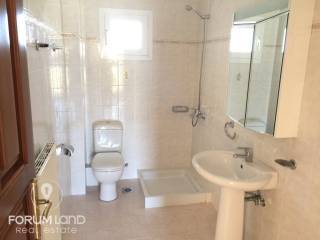 Forumland Real Estate, Mpanio