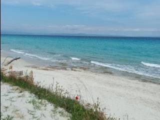 Plot - Grekodom 60430|894108