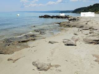 Plot - Grekodom 60430|894107